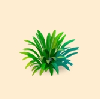 野草群