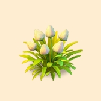 咲き誇る芝草