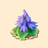 ギボウシ