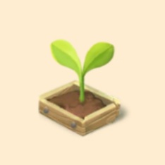 野菜の苗