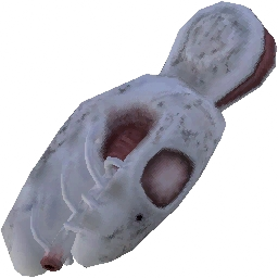 臓器