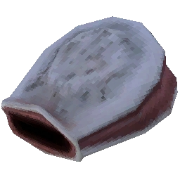 臓器の一部