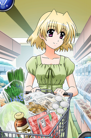 シャマル(魔法少女リリカルなのは) - アニヲタWiki(仮) - atwiki