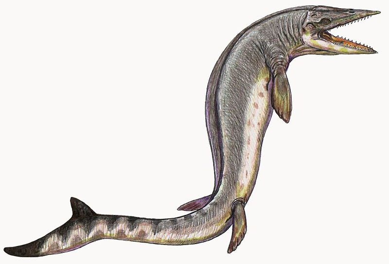 タニファサウルス