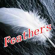 Feather's（F's）