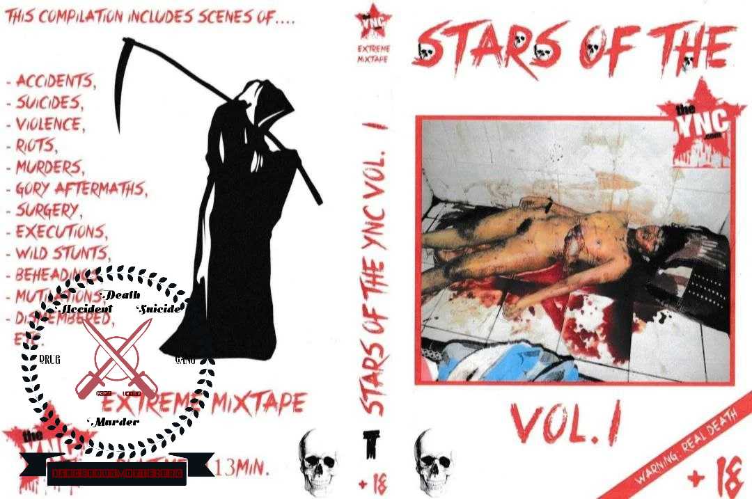 The ync Stars of the YNC 1-10 - dangerousmovieberg @ ウィキ - atwiki（アットウィキ）