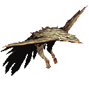 妖鳥ルフ