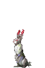 珍獣イナバシロウサギ