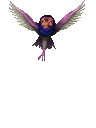 妖鳥タクヒ