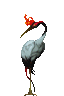 凶鳥ヒッポウ