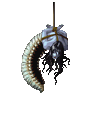 妖虫オキクムシ