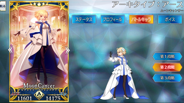 アーキタイプ アース Fate Grand Order Wiki Fgo Atwiki アットウィキ