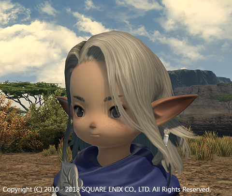 ピピン Face Of Eorzea ウィキ Atwiki アットウィキ