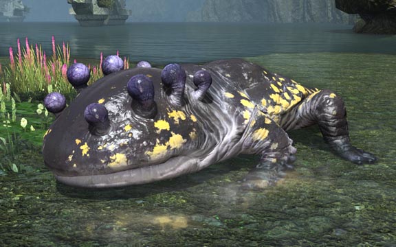 サラマンダー - FF14用語辞典 Final Fantasy XIV Lore wiki - atwiki