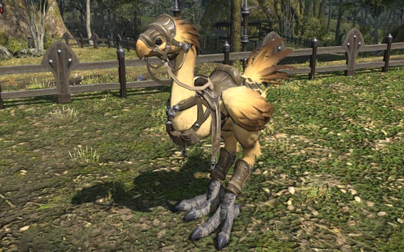 FINAL FANTASY XIV チョコボ 形状 アイテム 71bLg30iTtL._UF894,1000_QL80_.jpg