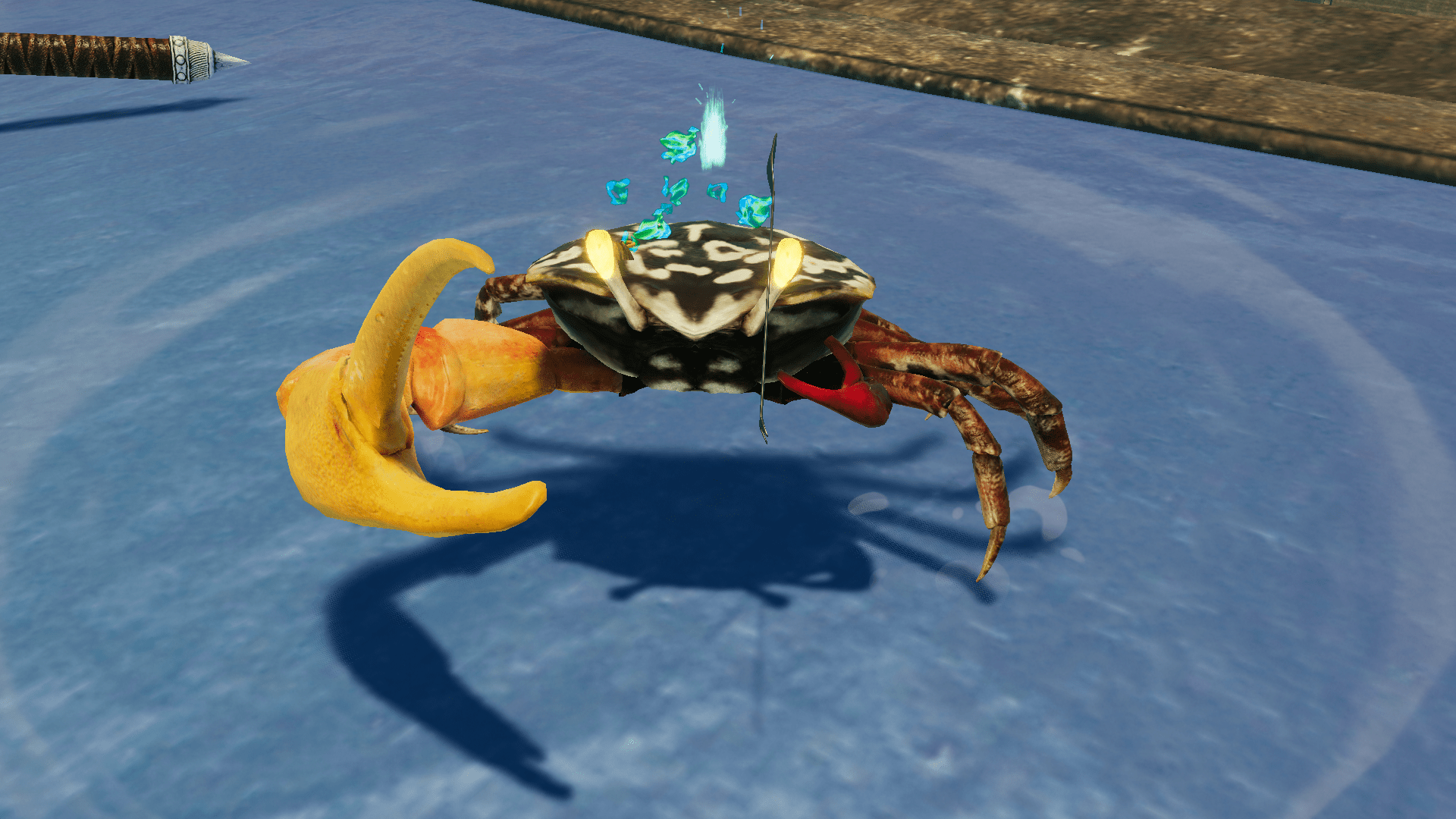 シオマネキ - カニノケンカ・ニ Fight Crab 2 wiki - atwiki（アット