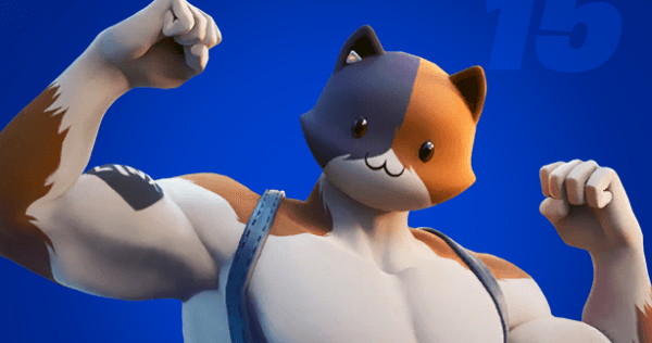 C3S4のNPC「ニャッスル」場所・購入できる物まとめ - フォートナイト