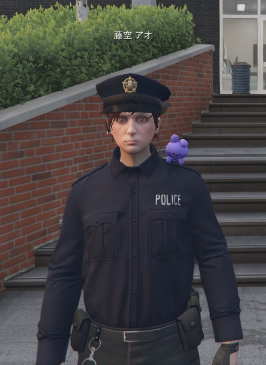 Ao_PD1.jpg