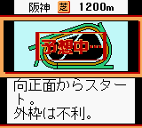 競馬場へ行こう! ワイド（ヘクト） - 「GBのゲーム制覇しましょ」の