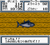 川のぬし釣り4（パック・イン・ソフト） - 「GBのゲーム制覇しましょ」のまとめ - atwiki（アットウィキ）