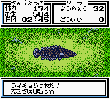 川のぬし釣り4（パック・イン・ソフト） - 「GBのゲーム制覇し