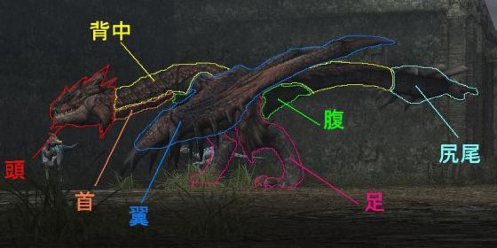 ネルギガンテ・リオレウス　セット Amazon.co.jp: TAMASHII NATIONS 超合金 Ka signature