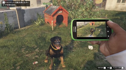 野生動物の撮影チャレンジ Grand Theft Auto V グランドセフトオート5 Gta5攻略wiki Atwiki アットウィキ