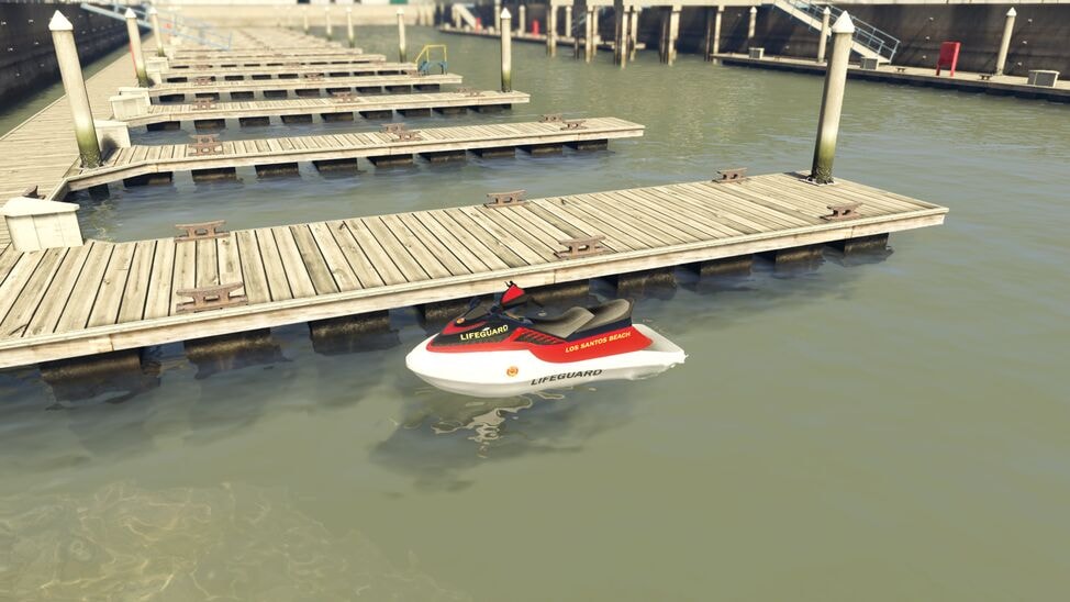 seashark2.jpg