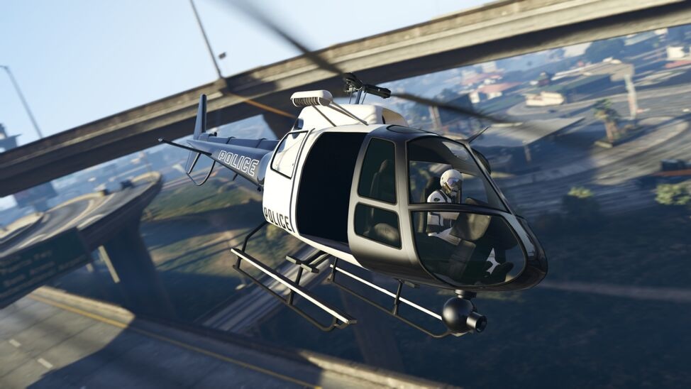 police-maverick (2).jpg
