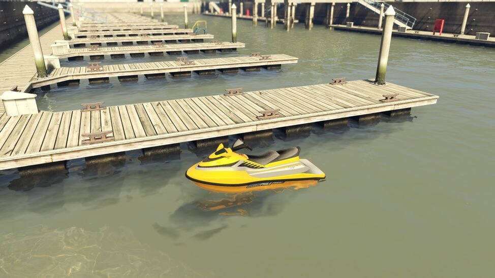 seashark.jpg