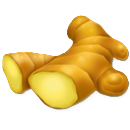 ショウガ