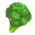 ブロッコリー