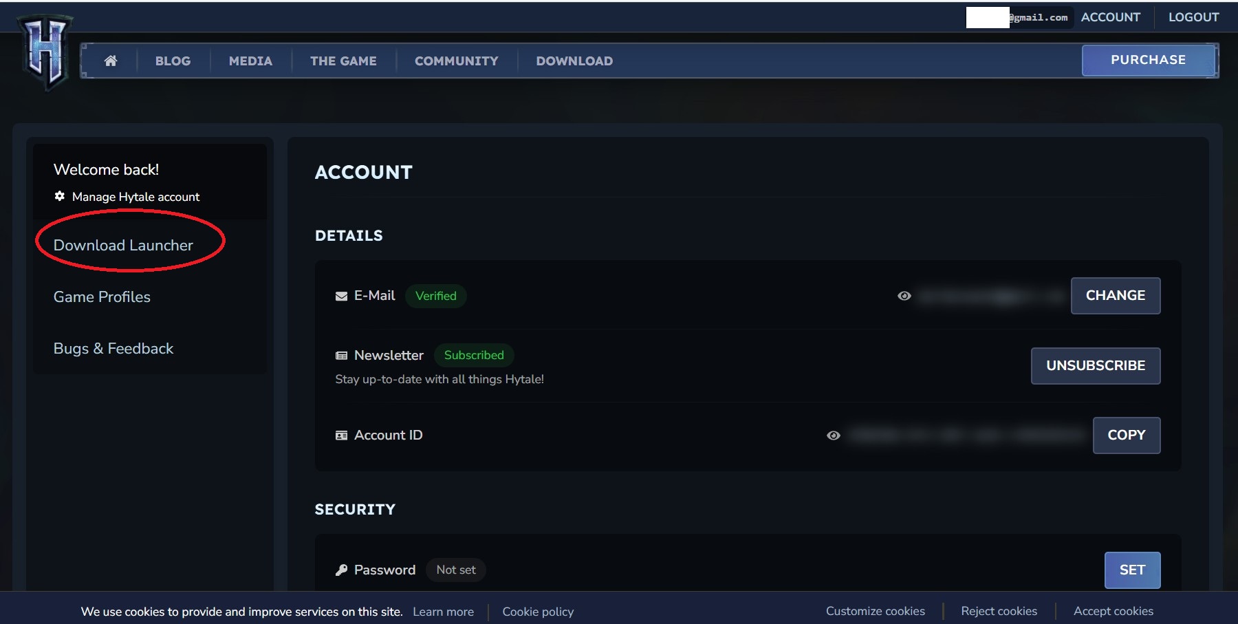 Hytale 購入した後の流れ - Hypixel 日本Wiki | Hypixel Server - atwiki（アットウィキ）