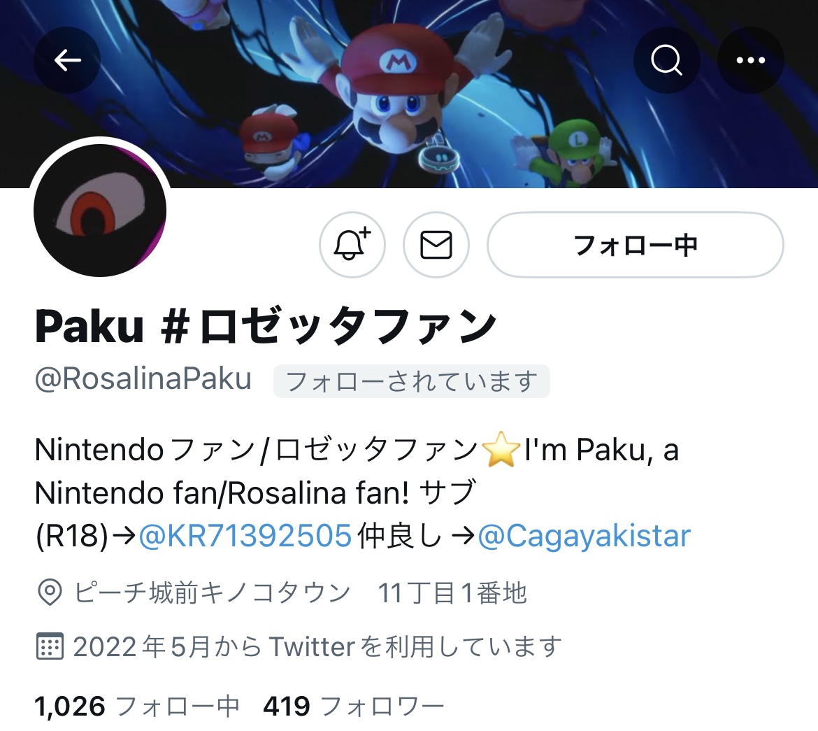 Pakuさんについて - マリオファン紹介サイト | マリオが好きな人