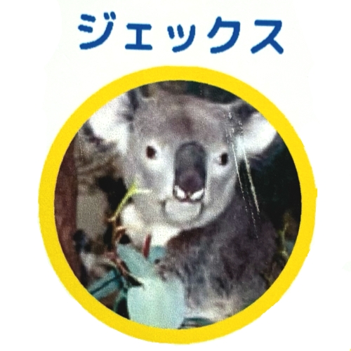 ジェックス - コアラWIKI in JAPAN【6/18更新】 - atwiki（アットウィキ）