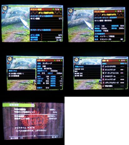 ギルクエ キリン亜種 変態 Mh4 発掘装備無しta Wiki Atwiki アットウィキ