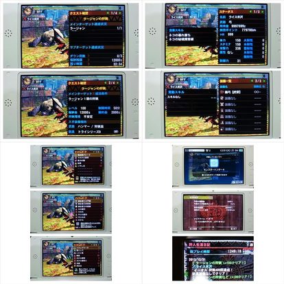 ギルクエ ラージャン 変態 Mh4 発掘装備無しta Wiki Atwiki アットウィキ