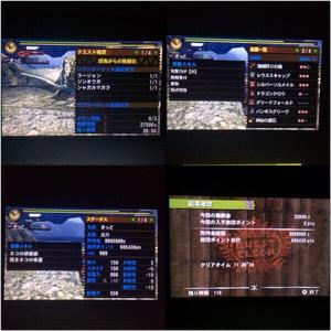 団長からの挑戦状ありあり Mh4 発掘装備無しta Wiki Atwiki アットウィキ