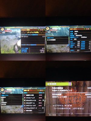 ギルクエ ラージャンなしなし Mh4 発掘装備無しta Wiki Atwiki アットウィキ