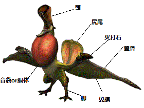 クルペッコ〜様専用 クルペッコ様専用Nike ACG x Supreme ヘビ柄ワーク