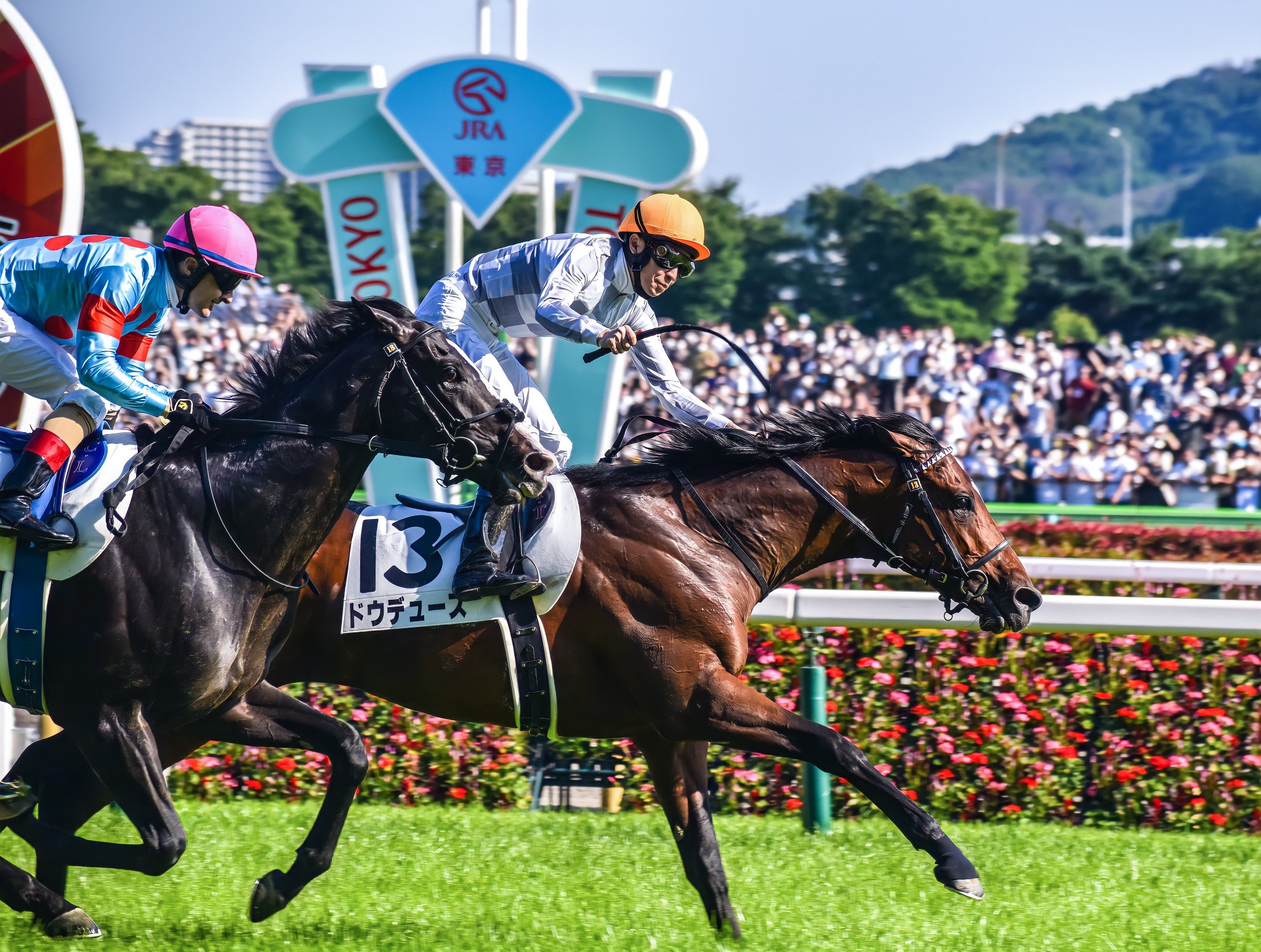 ものさし競馬 10 6更新 Atwiki アットウィキ