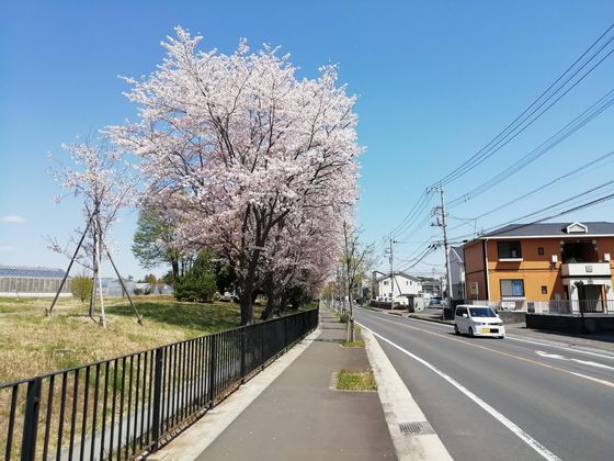 取手6.jpg