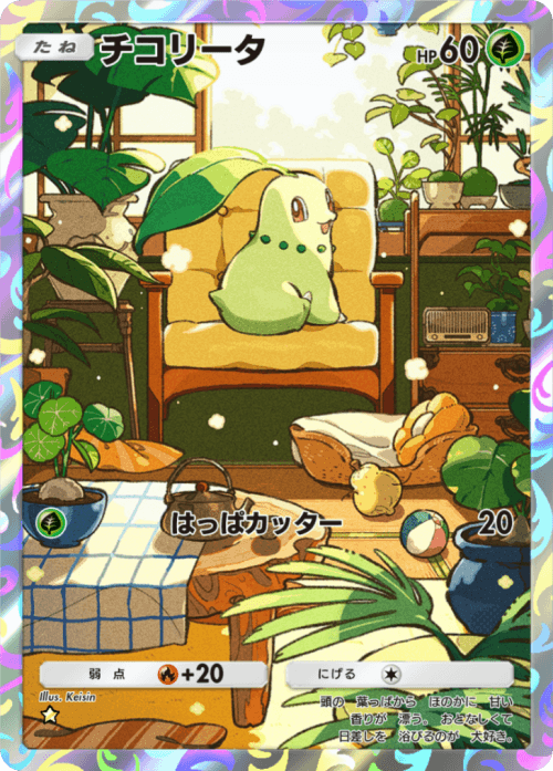 chicoritaar.png
