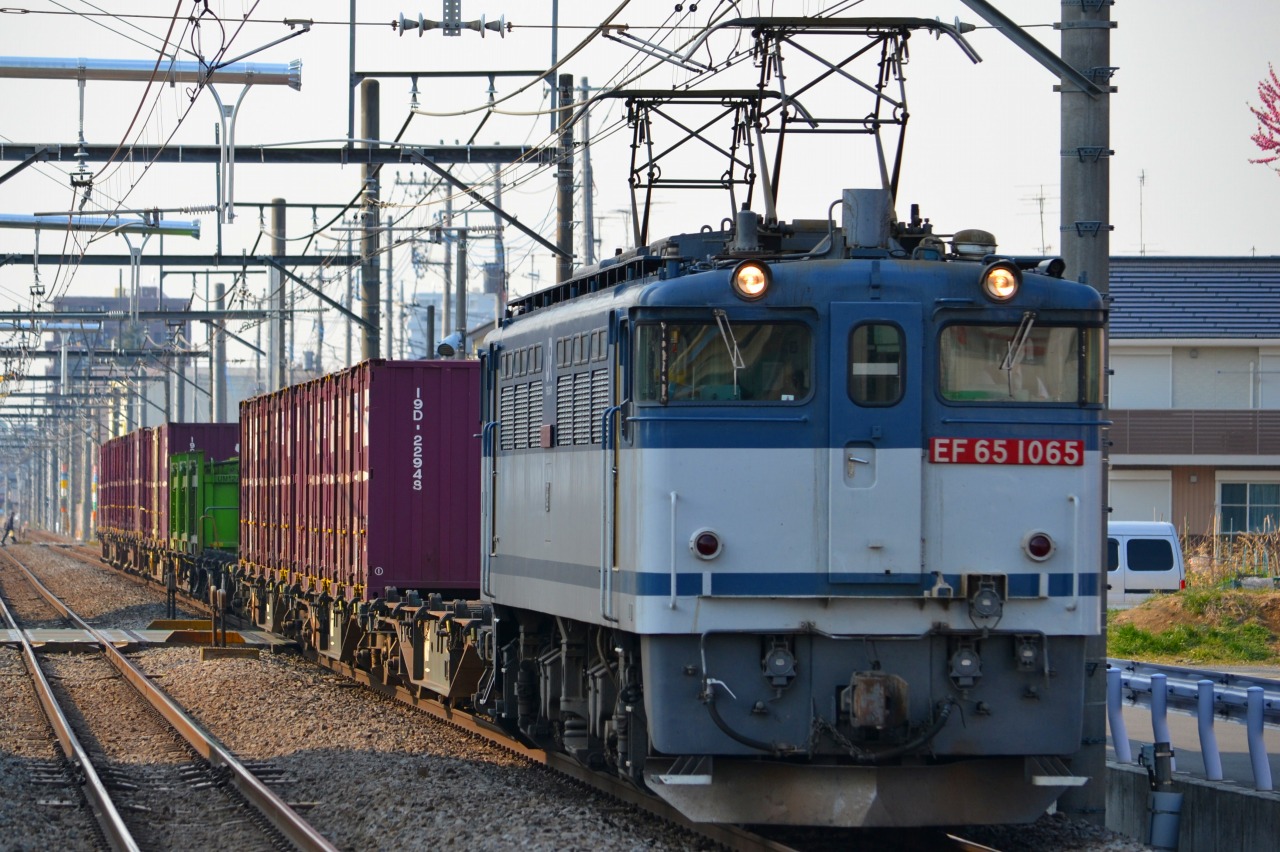新鶴見機関区・EF65（PF）形電気機関車 - rapid_trains