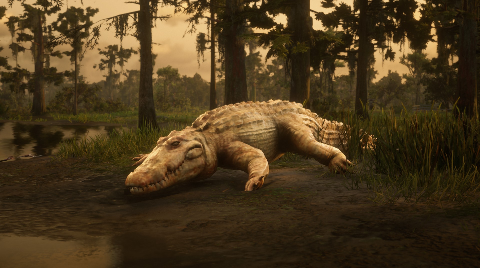 Legendary Bull Gator - RED DEAD REDEMPTION 2 情報&攻略@ wiki | RDR2 ...