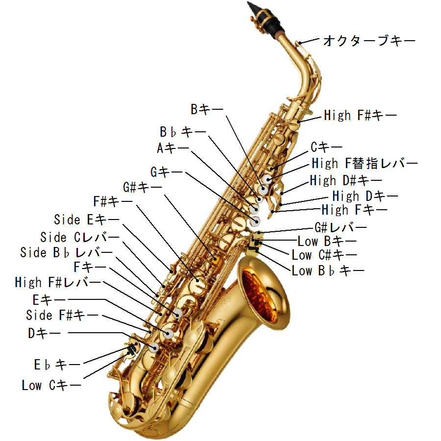 Sax Wiki/Saxについて/Saxとは/各部の名称 Sax Wiki atwiki（アットウィキ）