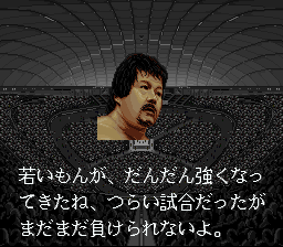 新日本プロレスリング 超戦士 IN 闘強導夢 - 「SFCのゲーム制覇