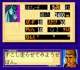 スーパー競走馬～風のシルフィード～ - 「SFCのゲーム制覇しましょ