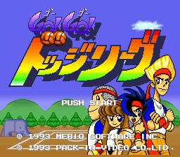 GO!GOドッジリーグ スーパーファミコン　未使用 GO!GO!ドッジリーグ