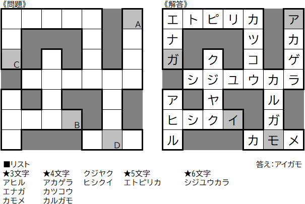 パズル紹介 スケルトン系 パズル作家 前島奬太 Atwiki アットウィキ